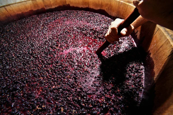 Natural Wine Orange Wine Being Made Punching Mash Large Wooden — Photo