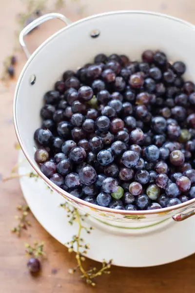 Red Grapes Vintage Enamel Colander — Stock Photo, Image