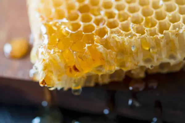 Hunajakenno Hunajakennossa — kuvapankkivalokuva