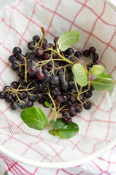 Schwarze Johannisbeeren Sieb Mit Grünen Blättern Nahaufnahme — Stockfoto