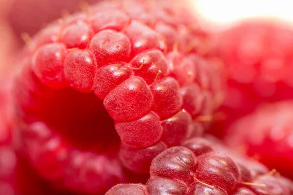 Primer Plano Las Moras Jugosas Frescas — Foto de Stock