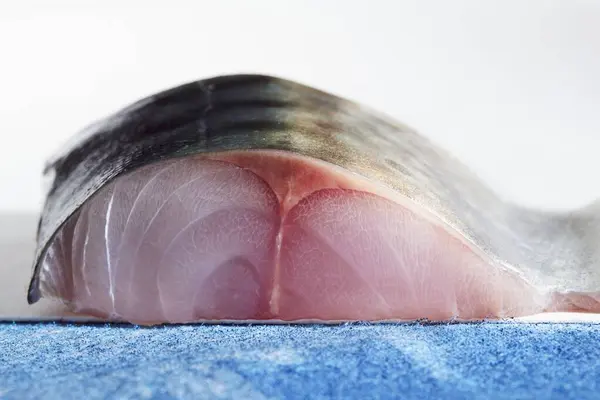 Raw Mackerel Close — Stock Photo, Image