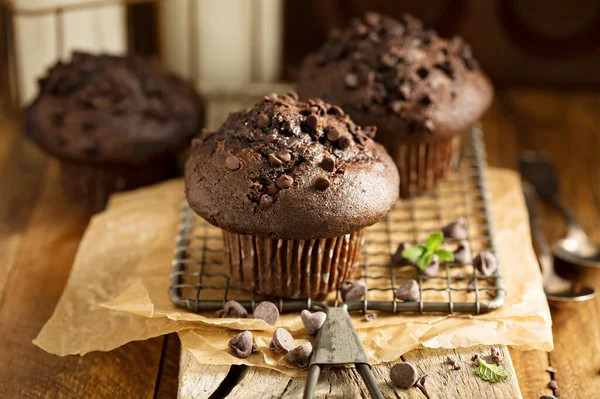 Duplo Muffins Chocolate Vista Close — Fotografia de Stock