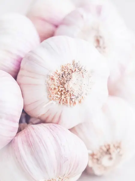 Garlic Bulbs Close — Stock Photo, Image