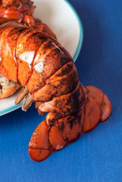 Close Lobster Tail — Stock Photo, Image