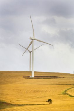 Rüzgar Türbini Güney Afrika