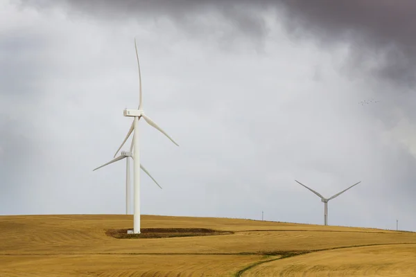 Turbina eólica na África do Sul — Fotografia de Stock