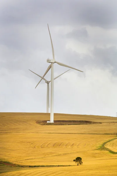 Turbina eólica en Sudáfrica — Foto de Stock