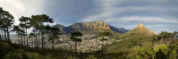 Table Mountain from Signal Hill — Stock Photo, Image