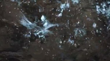 Yavaş çekimde yağmur damlaları suya düşüyor.