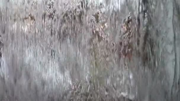 Starkregen Fenster Zeitlupe 120Fps — Stockvideo