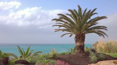 İspanya 'nın Fuerteventura adasındaki okyanus manzarası 4k