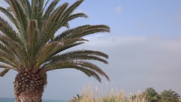 Uitzicht Oceaan Fuerteventura Eiland Spanje — Stockvideo