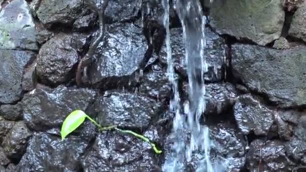 Water Uit Waterval Spatten Slow Motion 120Fps — Stockvideo