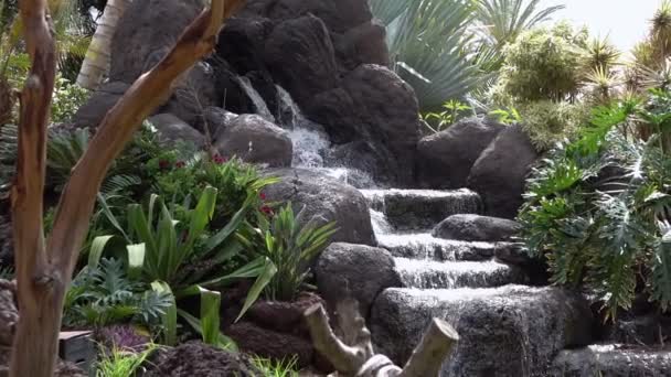 Schlange Auf Einem Ast Und Wasser Spritzt Zeitlupe Aus Wasserfall — Stockvideo