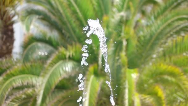 Gotas Agua Saltan Fuente Cámara Lenta 250Fps — Vídeos de Stock