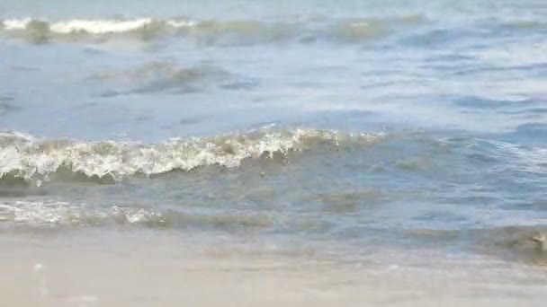 Sea Waves Baltic Sea — Stock Video