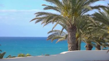 İspanya 'da Fuerteventura' da okyanus manzarası yavaş çekim 60fps