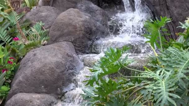 Salpicar Agua Cascada Cámara Lenta 120Fps — Vídeo de stock