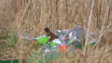 Orman çevre kirliliği 4k yavaş çekim 60fps