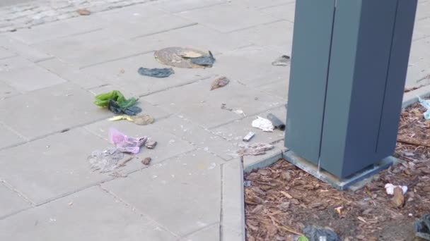 Lata Lixo Transbordando Rua Câmera Lenta 60Fps — Vídeo de Stock