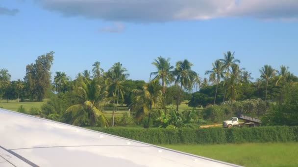 Repülőgép Pov Természeti Táj Hawaii Lassított Felvétel 60Fps — Stock videók