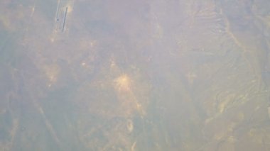 4K 'da bilinmeyen bir gezegenin üzerinde uçuş