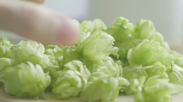 Prise Cônes Houblon Surface Bois Ralenti 60Fps — Video