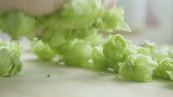 Taking Hop Cones Wooden Surface Slow Motion 60Fps — Stock Video