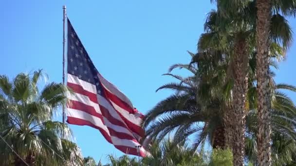 Bandera Estados Unidos Ondeando Viento — Vídeos de Stock