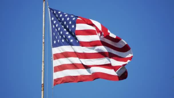 Bandeira Dos Estados Unidos Acenando Vento — Vídeo de Stock