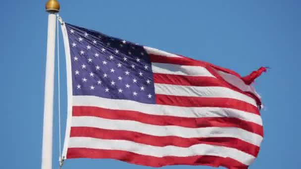 Bandeira Dos Estados Unidos Acenando Vento — Vídeo de Stock