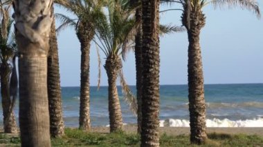 Okyanus kıyısında fırtınalı hava 4k yavaş çekim 60fps