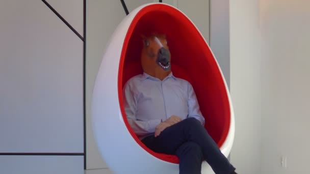 Homem Com Uma Máscara Cavalo Mostrando Nenhum Gesto Câmera Lenta — Vídeo de Stock