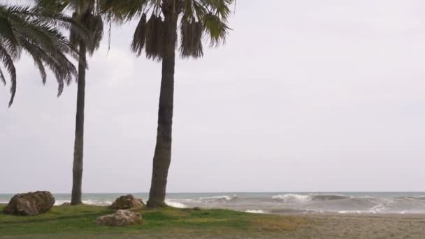 Stormigt Väder Vid Havet Slow Motion 60Fps — Stockvideo