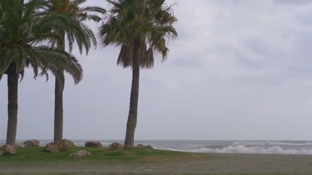 Stormigt Väder Vid Havet — Stockvideo