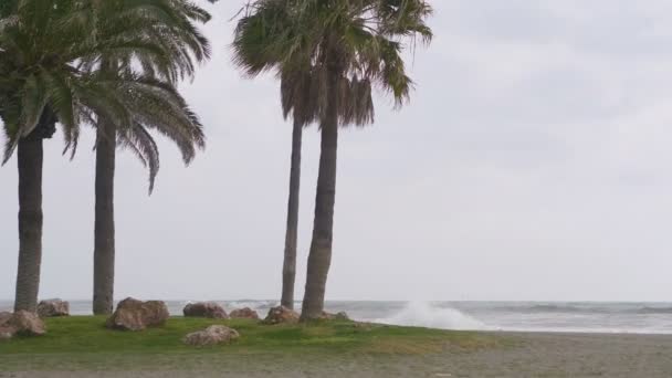 Tempo Tempestuoso Junto Oceano — Vídeo de Stock