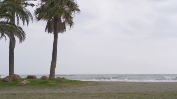 Штормовая Погода Океана — стоковое видео