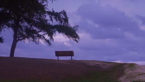 Bench Het Park Bij Zonsondergang — Stockvideo