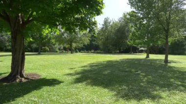 4k yavaş çekimde inanılmaz doğal park arka planı 60fps