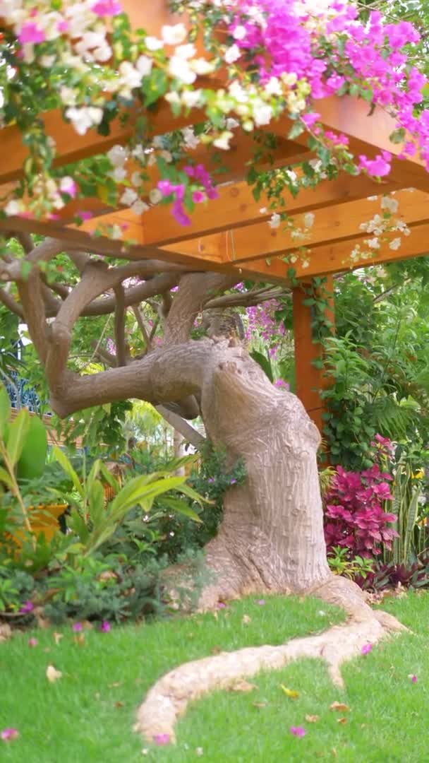 Vertical Video Plants Tropical Garden Slow Motion 60Fps — Stock Video