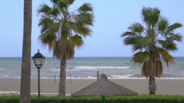 Sahilde palmiye ağaçları... 4k yavaş çekim... 60fps...