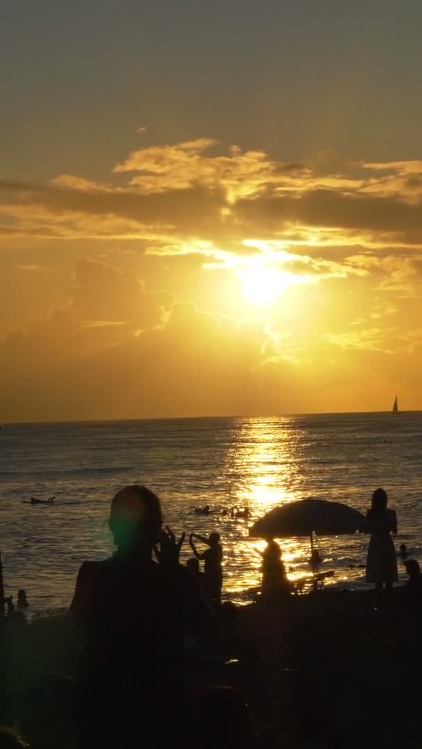 Fantastisk Solnedgang Hawaii Lodret Slowmotion 60Fps – Stock-video