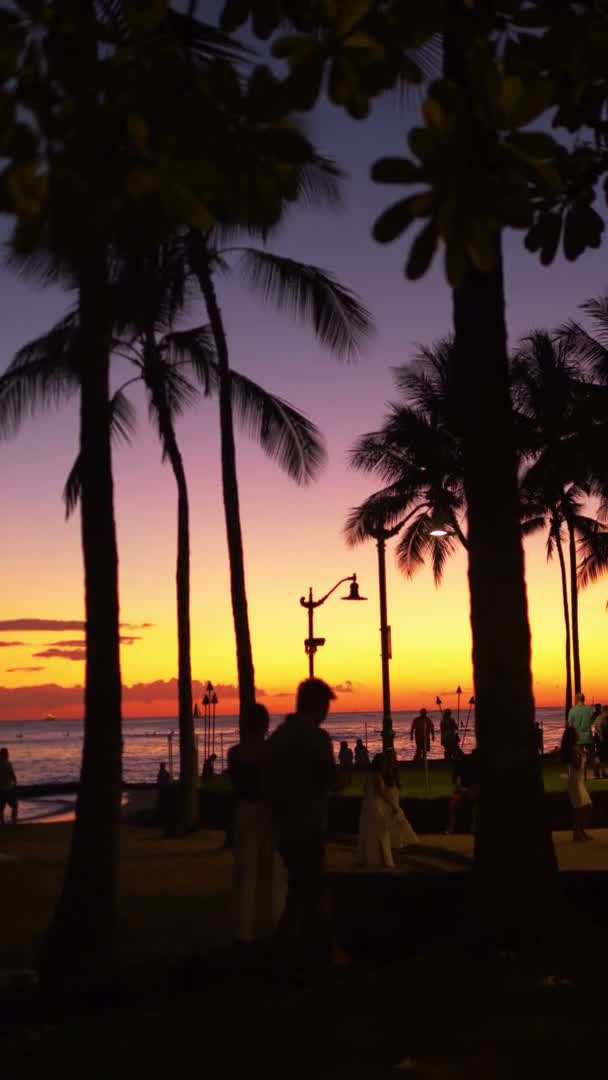 Erstaunlicher Sonnenuntergang Hawaii Vertikaler Zeitlupe 60Fps — Stockvideo