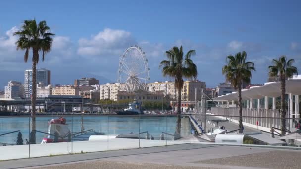 Marina Málaga Espanha Câmera Lenta 60Fps — Vídeo de Stock