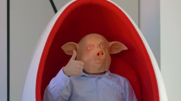 Hombre Con Una Máscara Cerdo Mostrando Pulgar Hacia Arriba Cámara — Vídeos de Stock