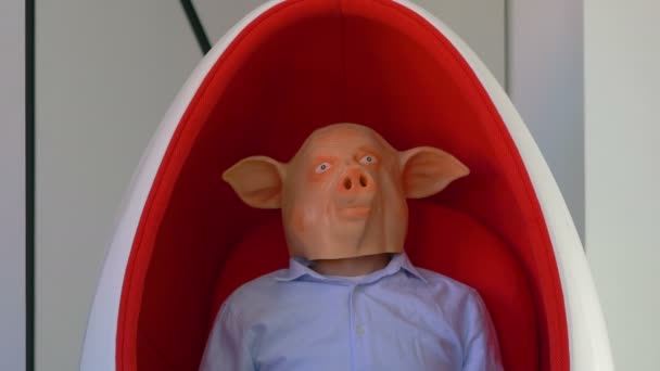 Hombre Una Máscara Cerdo Sentado Silla Cámara Lenta 60Fps — Vídeos de Stock