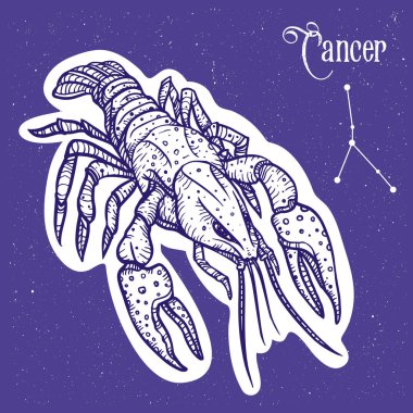 Zodiac işaretli kanserin vektör rengi çizimi. Metin kanseri ve gökyüzündeki yıldızların sembolü. Vektör el, büyük pençeli kerevit taslağı çizdi. Takvim, poster, takvim, yıldız falı.