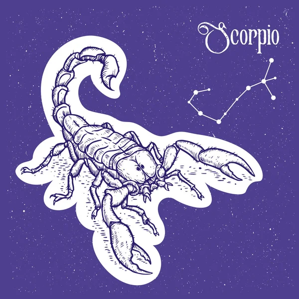 Illustration Vectorielle Linéaire Signe Zodiaque Scorpion Constellation Symbole Des Étoiles — Image vectorielle