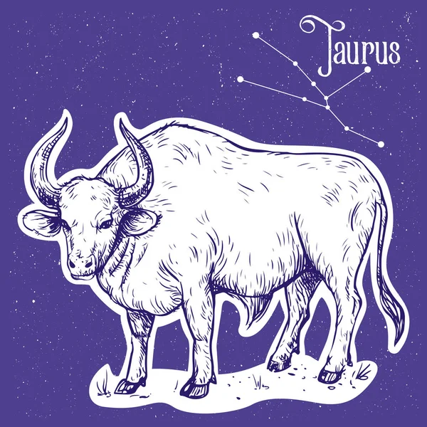 Illustration Vectorielle Linéaire Couleur Signe Zodiaque Taurus Avec Texte Taurus — Image vectorielle